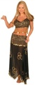2 Piece Sheer Belly Dancer Outfit with Sequin Design and Hanging Coin Accents Red/Gold