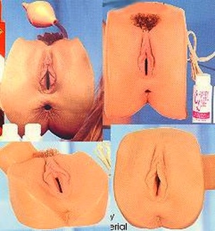 Chasey Lain Personal