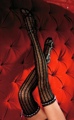 Ribbon Lace Stockings with Ribbon Trim  