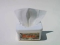Pleasure Wipes Tub Mango