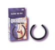 Quick release erection ring