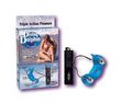 Diving Dolphin