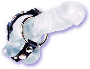 Black Leather English Cock and Ball Cage