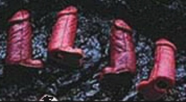 Penis Pencil Tops - Brown