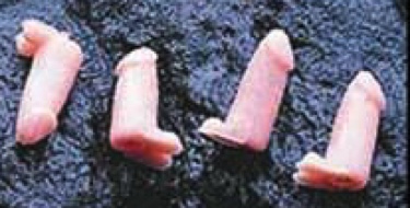Penis Pencil Tops - Beige