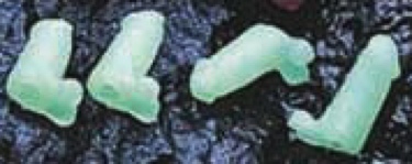 Penis Pencil Tops - Glow
