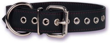Buckle Collar