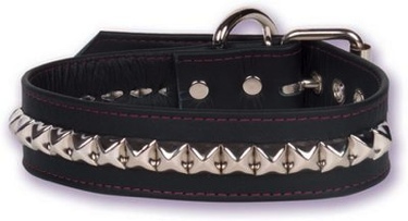 Buckle Collar- Studded