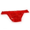 Red Hot Nights Panty