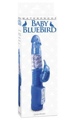 Baby Bluebird