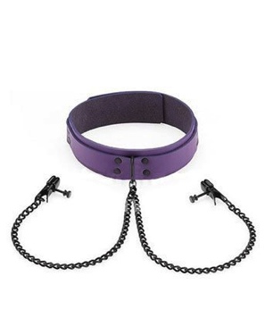 Purple Collar WithBlack Nipple Clamps