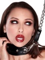 Fetish Fantasy Extreme Heavy Duty Leash And Collar