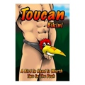 Toucan
