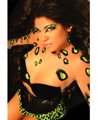 Purrrr Kit Eye Kit WithLashes