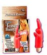 Jesse's Teaser Bunny