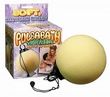 Pulsa Bath
