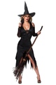 Witch Costume Med/Lg