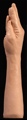 The Hand-Flesh Cd