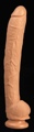 Dick Rambone Cock Cd