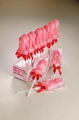 Willy Lollipop