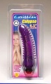 Calypso Purple Jelly # 5