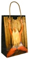 Gift Bag Girl Tied To Fence