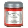 Champagne Lights French Vanilla