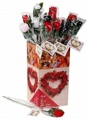 WOMEN'S PANTYROSES(24 PC DISP)