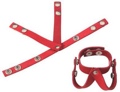 Red V Style C&B Toy