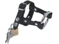 Locking C&Amp;B Harness