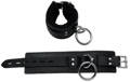 Locking Buckle Restraints