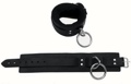 Ankle Restraints