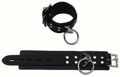 Wrist Restraints Locking