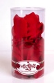 With Love Rose Scented Silk Petals